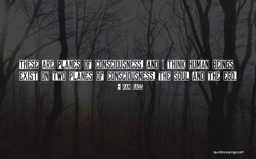 The Human Ego Quotes By Ram Dass The Human Ego Quotes By Ram Dass