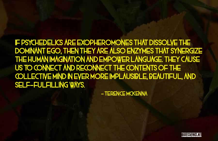 The Human Ego Quotes By Terence McKenna