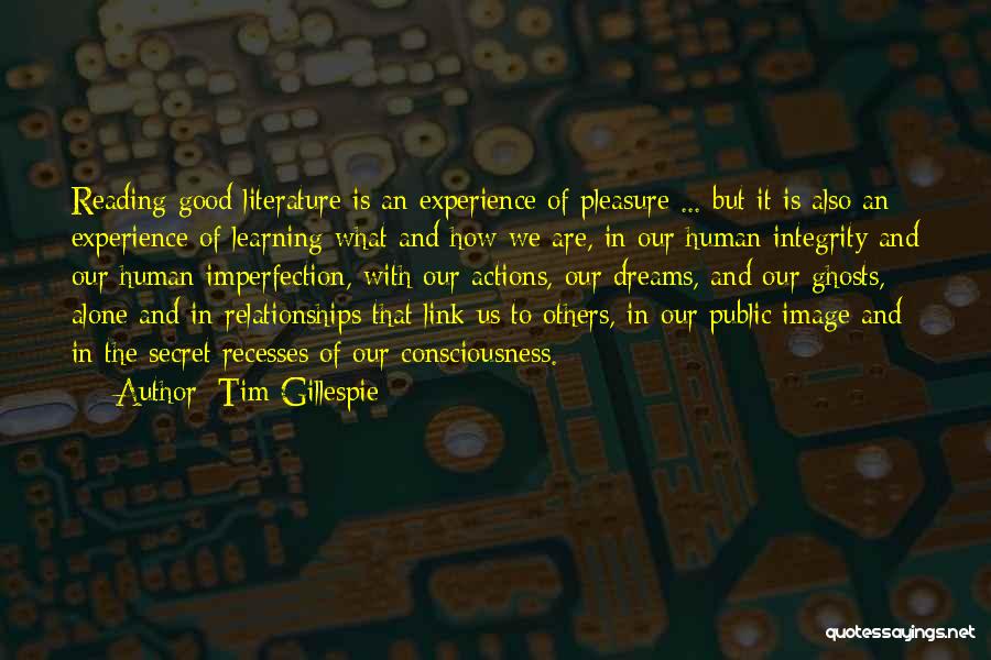 The Human Experience Quotes By Tim Gillespie