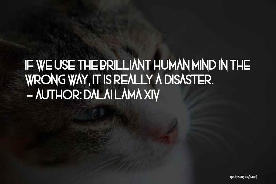 The Human Mind Quotes By Dalai Lama XIV