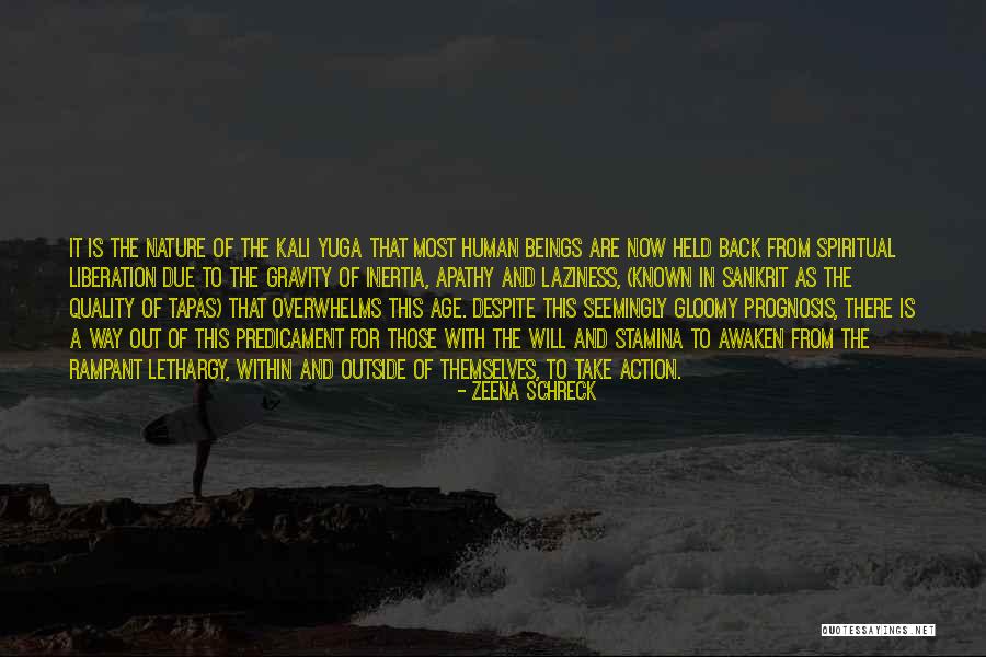 The Human Predicament Quotes By Zeena Schreck