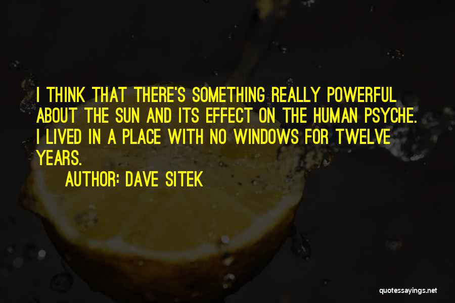 The Human Psyche Quotes By Dave Sitek