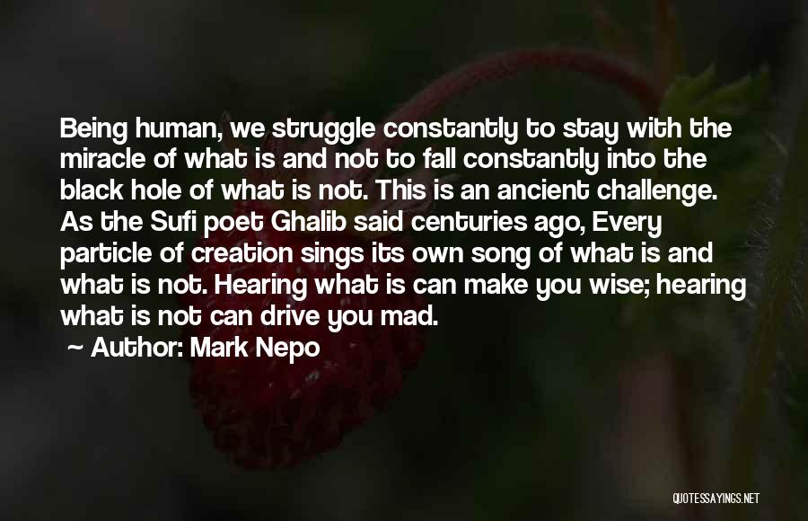 The Human Struggle Quotes By Mark Nepo