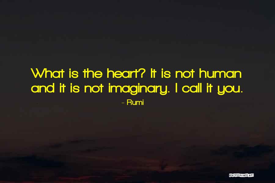 The Humans Quotes By Rumi
