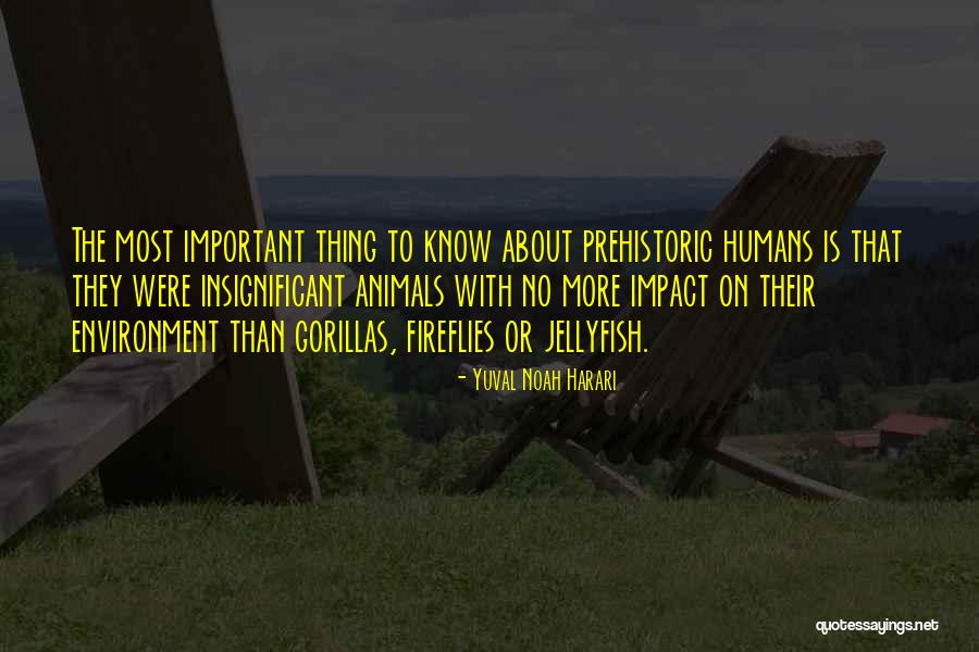 The Humans Quotes By Yuval Noah Harari