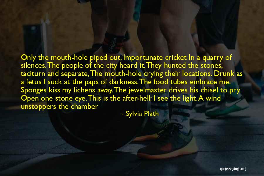 The Hunted Quotes By Sylvia Plath The Hunted Quotes By Sylvia Plath
