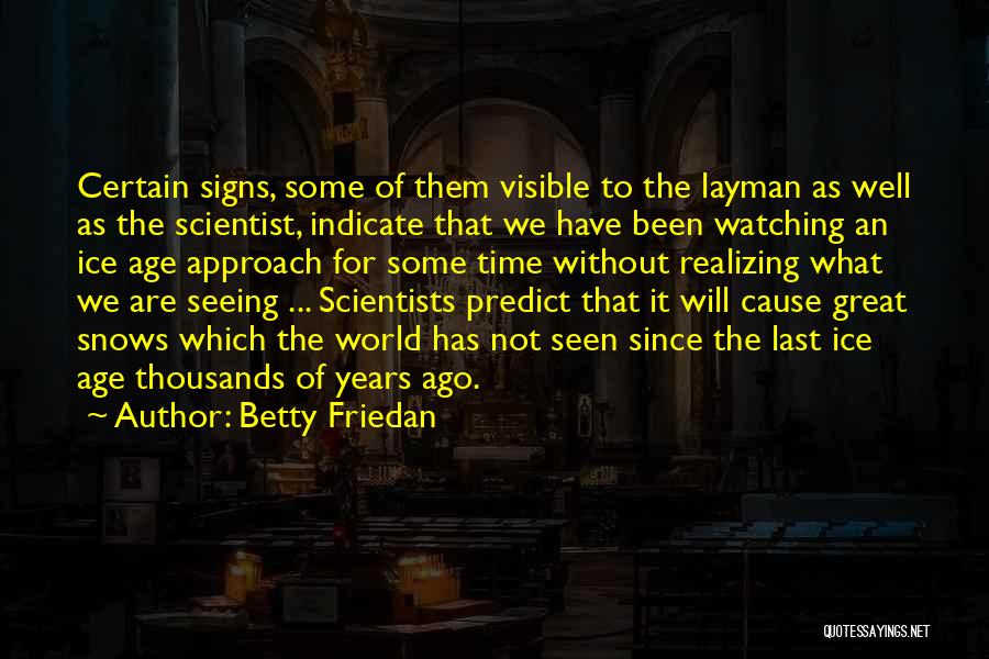 The Ice Age Quotes By Betty Friedan