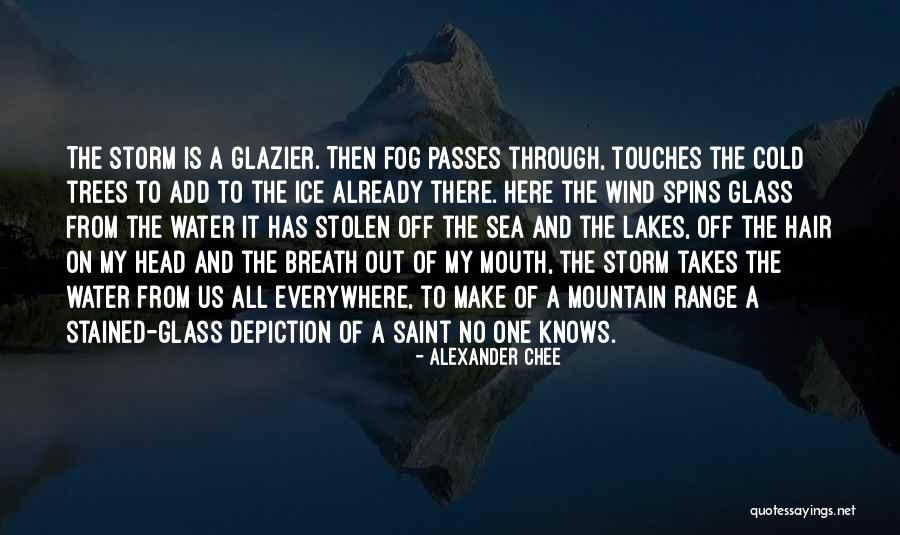 The Ice Storm Quotes By Alexander Chee The Ice Storm Quotes By Alexander Chee