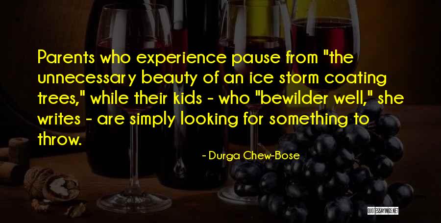 The Ice Storm Quotes By Durga Chew-Bose The Ice Storm Quotes By Durga Chew-Bose