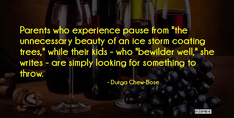 The Ice Storm Quotes By Durga Chew-Bose