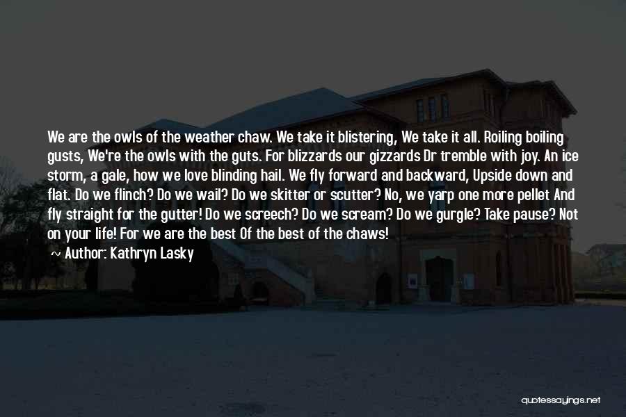 The Ice Storm Quotes By Kathryn Lasky