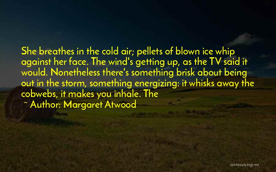 The Ice Storm Quotes By Margaret Atwood