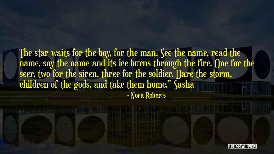 The Ice Storm Quotes By Nora Roberts The Ice Storm Quotes By Nora Roberts
