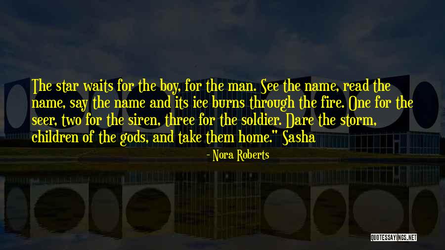 The Ice Storm Quotes By Nora Roberts