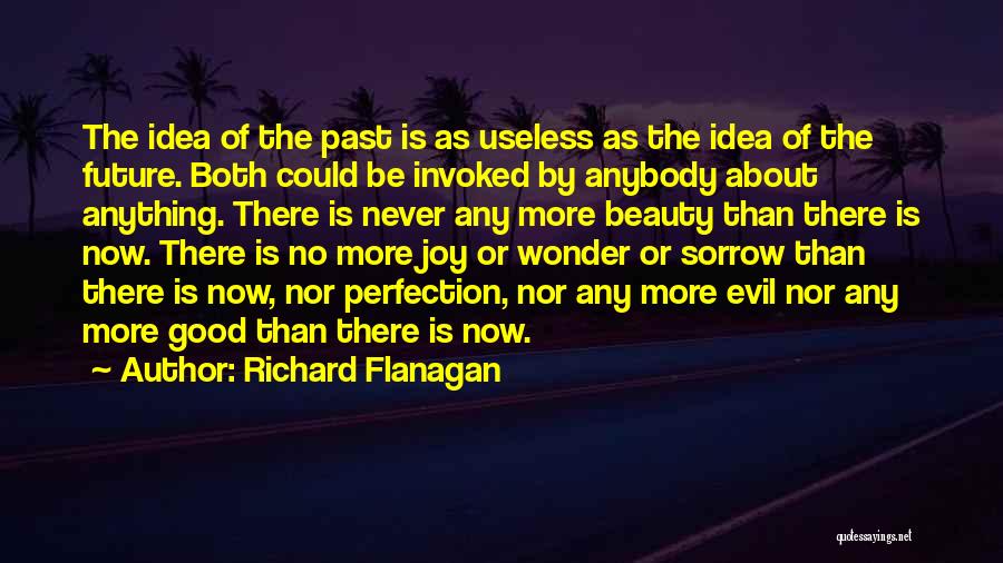 The Idea Of Perfection Quotes By Richard Flanagan