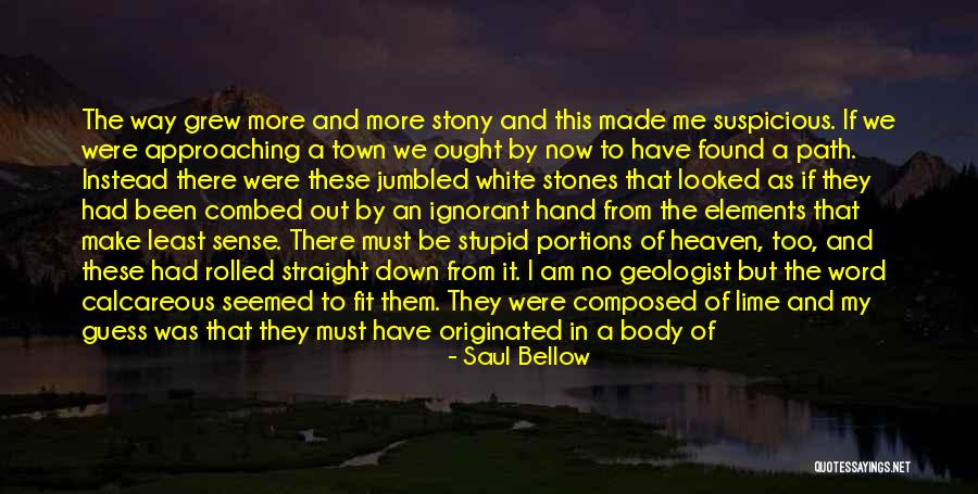 The Ideal Body Quotes By Saul Bellow