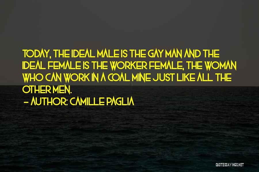 The Ideal Woman Quotes By Camille Paglia