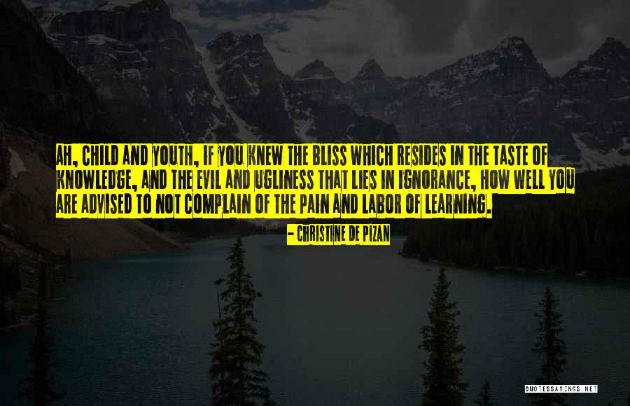 The Ignorance Of Youth Quotes By Christine De Pizan The Ignorance Of Youth Quotes By Christine De Pizan