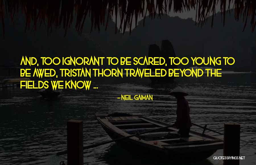 The Ignorance Of Youth Quotes By Neil Gaiman