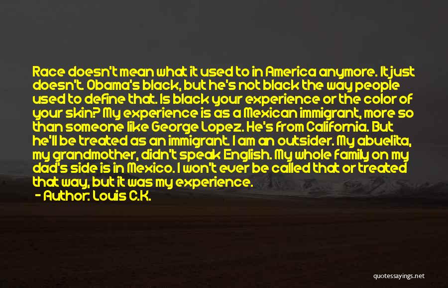 The Immigrant Experience Quotes By Louis C.K.