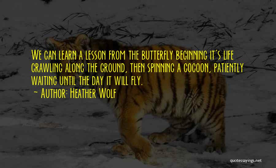 The Importance Of Life Lessons Quotes By Heather Wolf