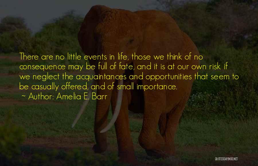 The Importance Of The Little Things In Life Quotes By Amelia E. Barr