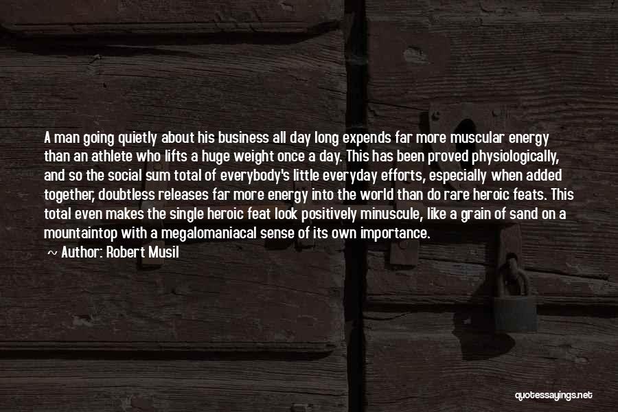 The Importance Of The Little Things In Life Quotes By Robert Musil