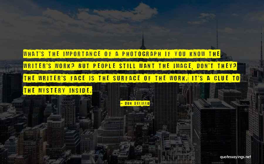 The Importance Of Work Quotes By Don DeLillo The Importance Of Work Quotes By Don DeLillo