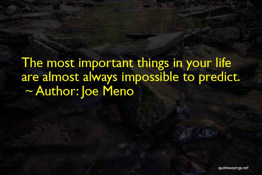 The Important Things In Life Quotes By Joe Meno