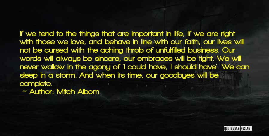 The Important Things In Life Quotes By Mitch Albom