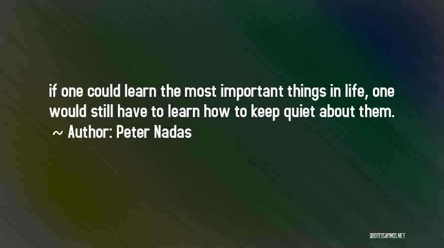 The Important Things In Life Quotes By Peter Nadas