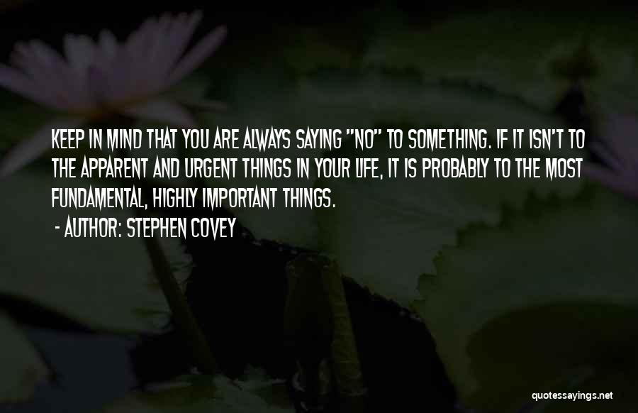 The Important Things In Life Quotes By Stephen Covey
