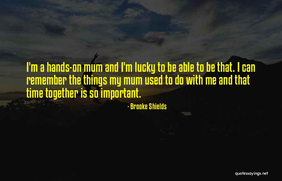 The Important Things Quotes By Brooke Shields The Important Things Quotes By Brooke Shields