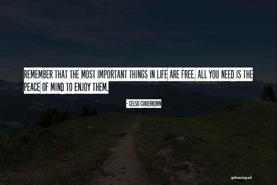 The Important Things Quotes By Celso Cukierkorn The Important Things Quotes By Celso Cukierkorn