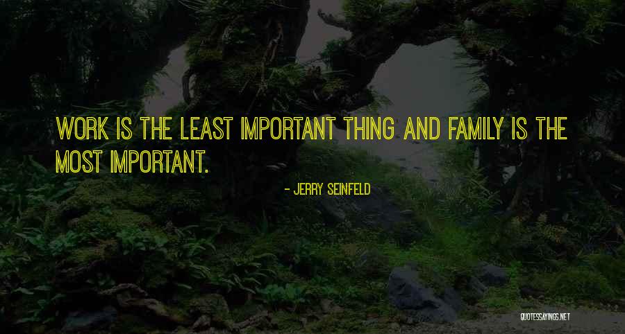 The Important Things Quotes By Jerry Seinfeld The Important Things Quotes By Jerry Seinfeld