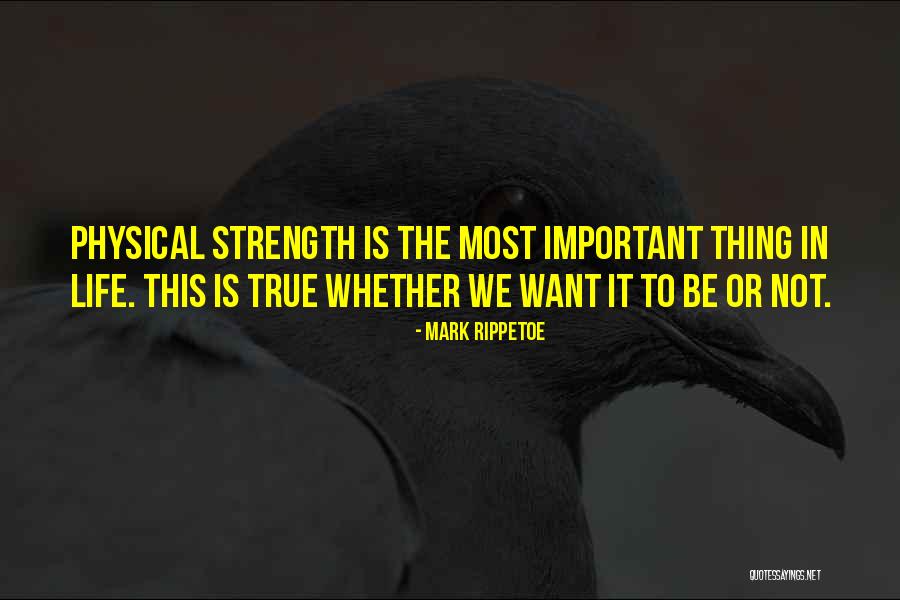 The Important Things Quotes By Mark Rippetoe The Important Things Quotes By Mark Rippetoe