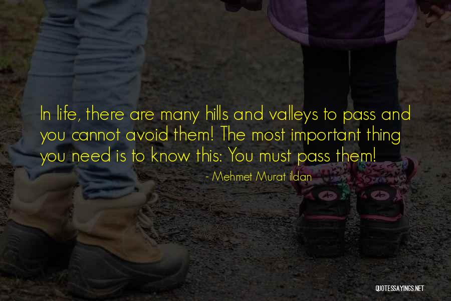 The Important Things Quotes By Mehmet Murat Ildan The Important Things Quotes By Mehmet Murat Ildan