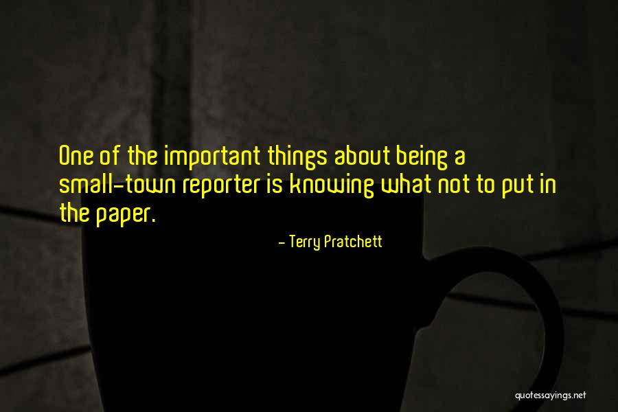 The Important Things Quotes By Terry Pratchett