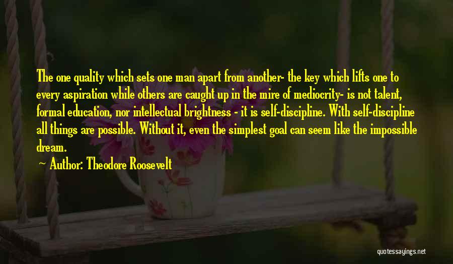 The Impossible Dream Quotes By Theodore Roosevelt