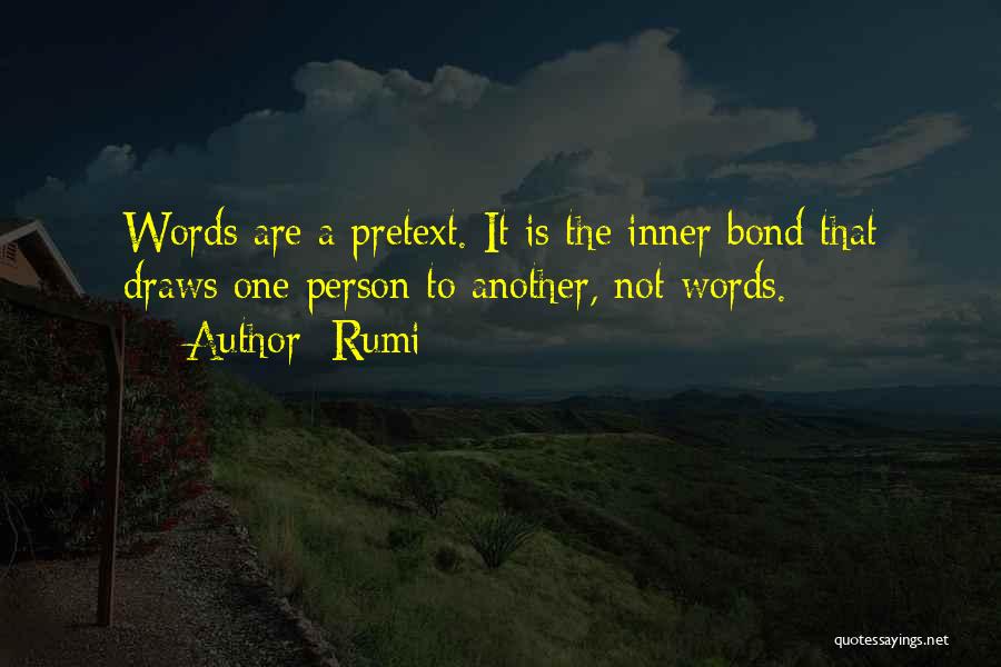 The Inadequacy Of Words Quotes By Rumi