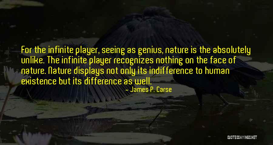 The Indifference Of Nature Quotes By James P. Carse The Indifference Of Nature Quotes By James P. Carse