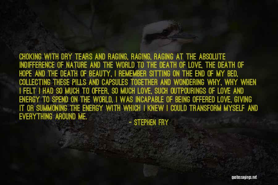 The Indifference Of Nature Quotes By Stephen Fry