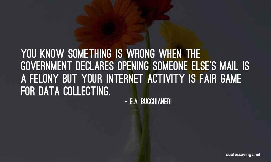 The Internet And Privacy Quotes By E.A. Bucchianeri