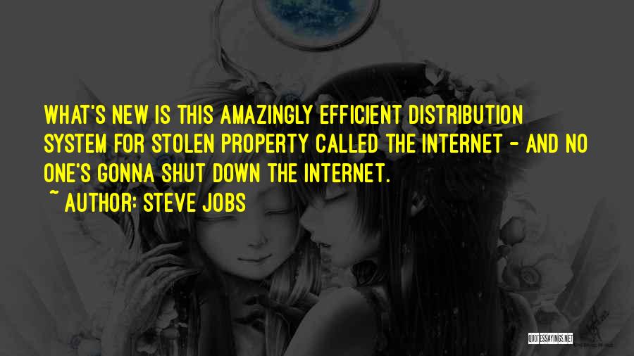 The Internet And Technology Quotes By Steve Jobs