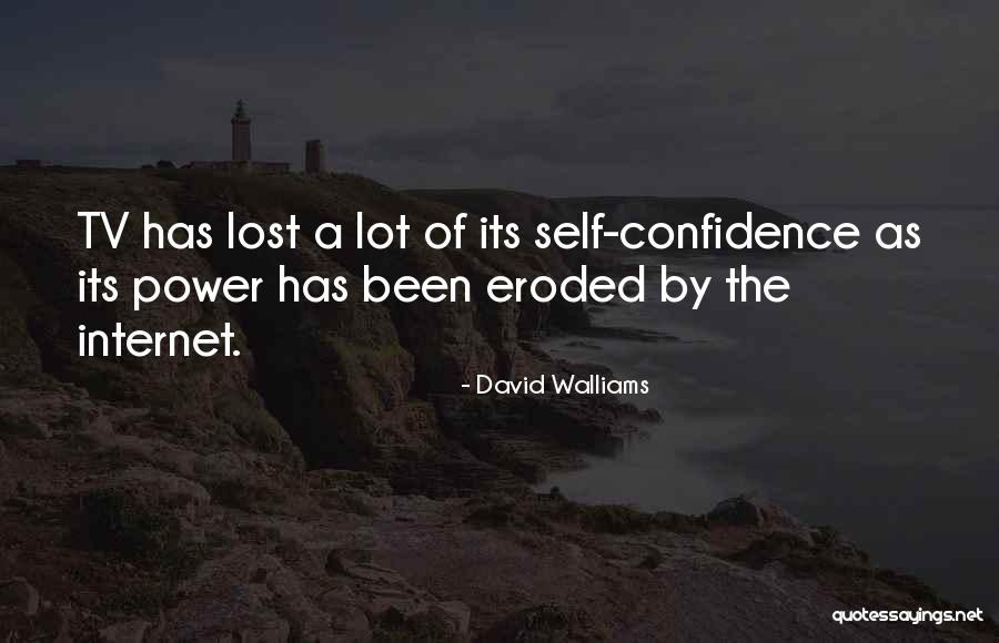 The Internet Quotes By David Walliams The Internet Quotes By David Walliams