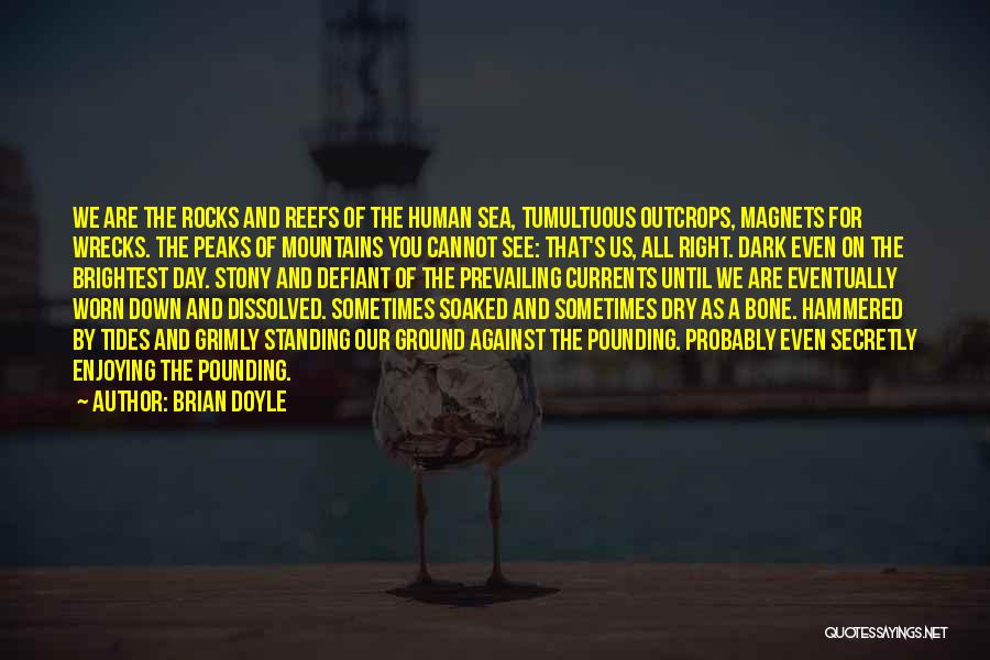 The Irish Sea Quotes By Brian Doyle