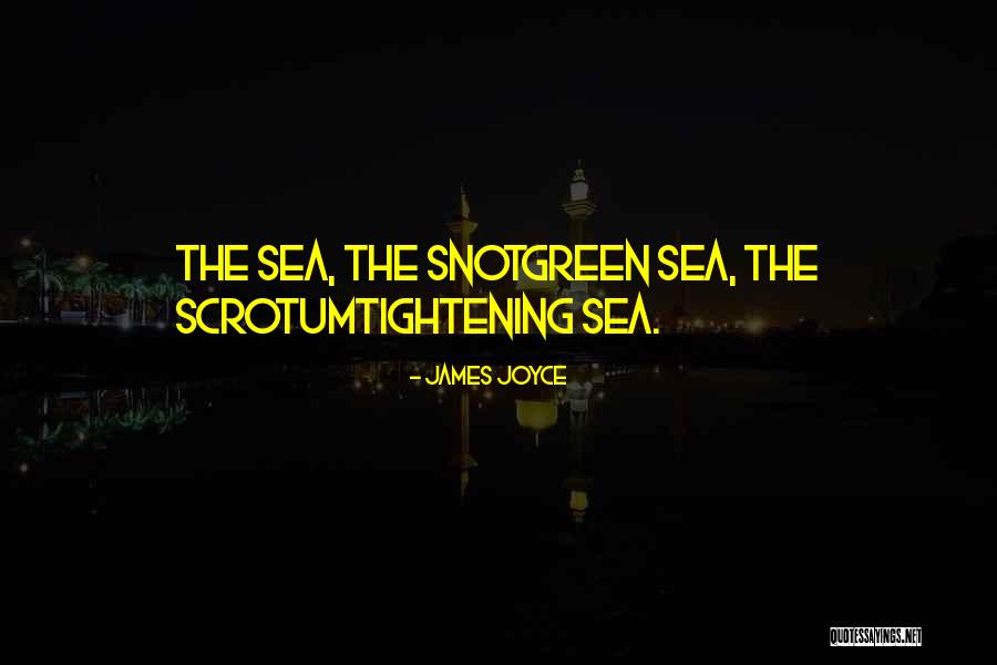 The Irish Sea Quotes By James Joyce