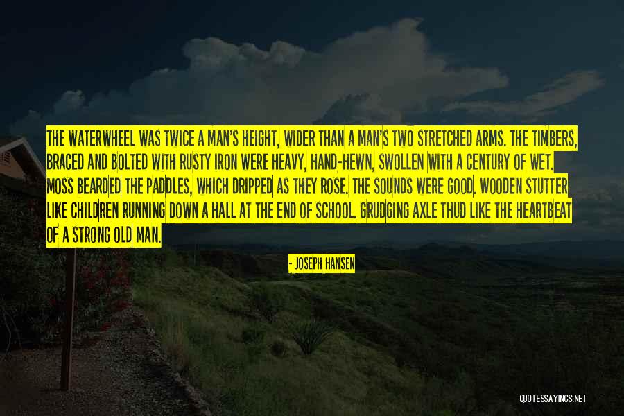 The Iron Man Quotes By Joseph Hansen The Iron Man Quotes By Joseph Hansen