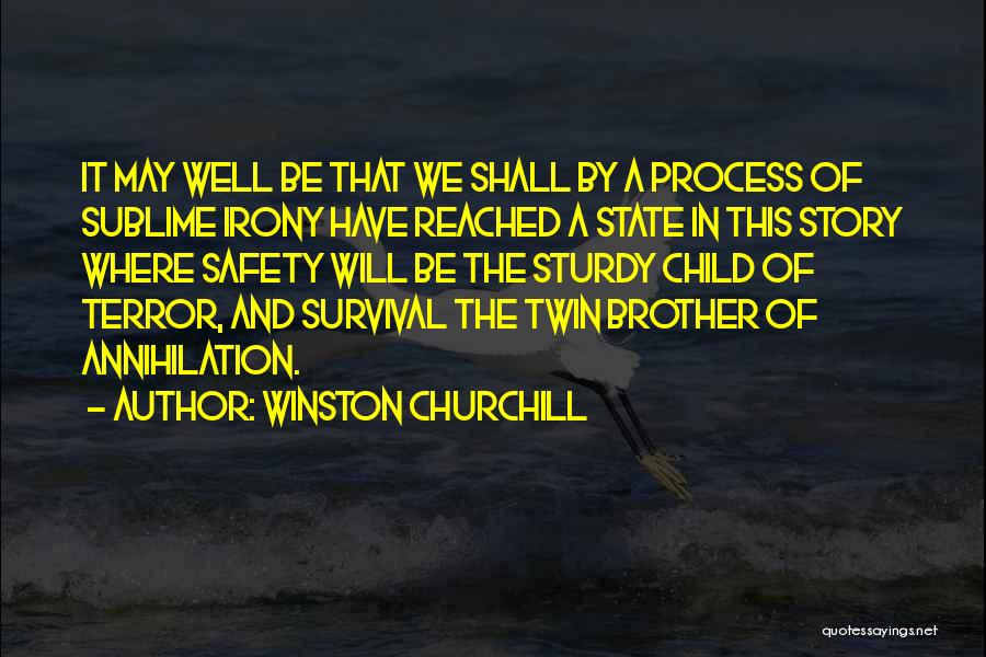 The Irony Of War Quotes By Winston Churchill