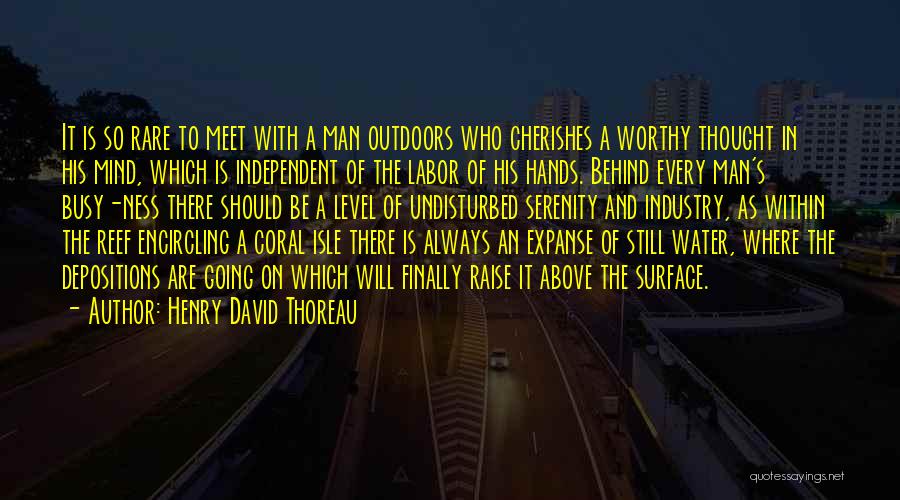 The Isle Of Man Quotes By Henry David Thoreau